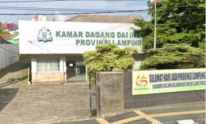 Impor Mobil India Rp24,66 Triliun Disorot, KADIN Lampung: Lebih Baik untuk Industri Nasional