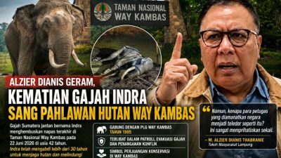 Alzier Dianis Geram, Kematian Gajah Indra Sang Pahlawan Hutan Way Kambas
