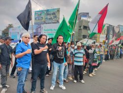 Pembangunan Tower, Jalan Beton, dan Land Clearing di TNWK Dipersoalkan, Merusak Ekosistem Serta Mengancam Satwa