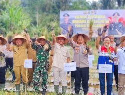 Panen Perdana Bawang Putih Grade A, Bupati Tanggamus Siapkan Perluasan Lahan